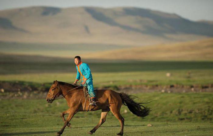 Mongol ló kantár